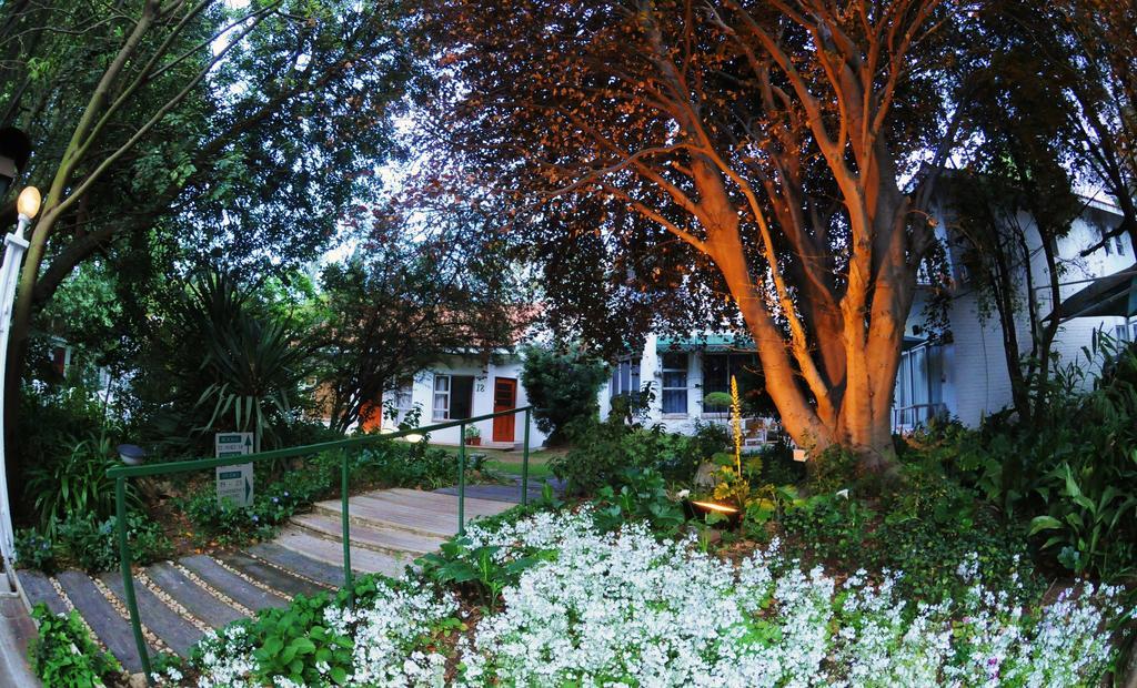 Garden Place Guest Houses Johannesburg Rom bilde
